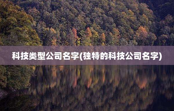 科技类型公司名字(独特的科技公司名字)