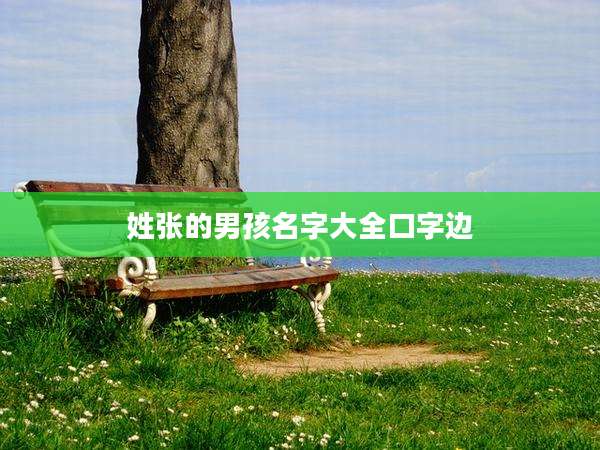 姓张的男孩名字大全口字边
