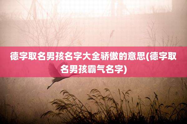 德字取名男孩名字大全骄傲的意思(德字取名男孩霸气名字)
