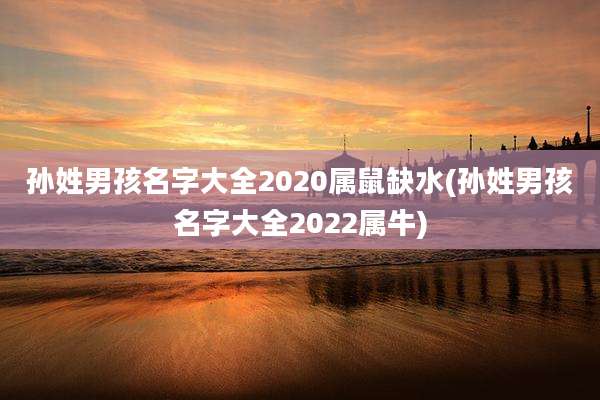 孙姓男孩名字大全2020属鼠缺水(孙姓男孩名字大全2022属牛)