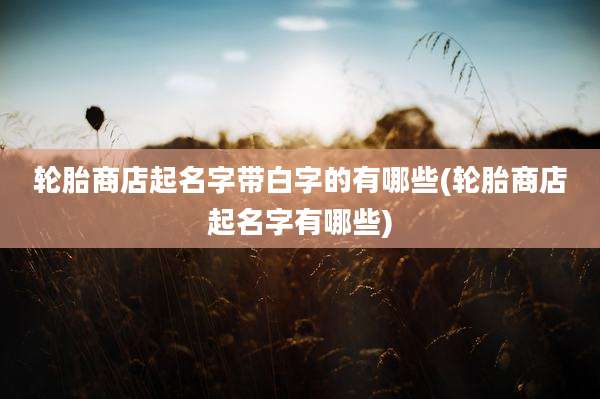 轮胎商店起名字带白字的有哪些(轮胎商店起名字有哪些)