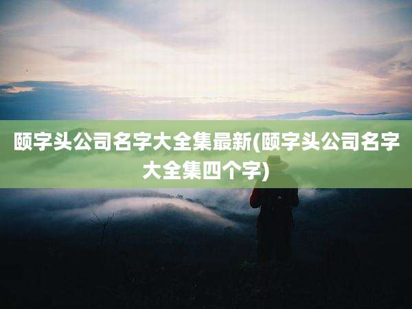 颐字头公司名字大全集最新(颐字头公司名字大全集四个字)
