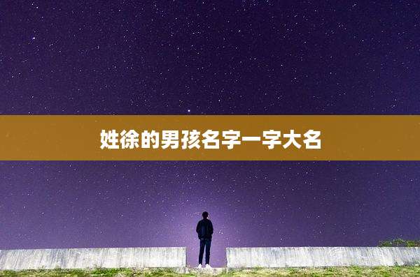 姓徐的男孩名字一字大名