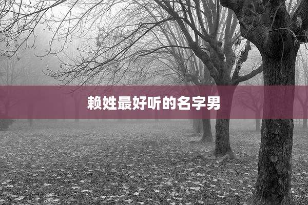 赖姓最好听的名字男