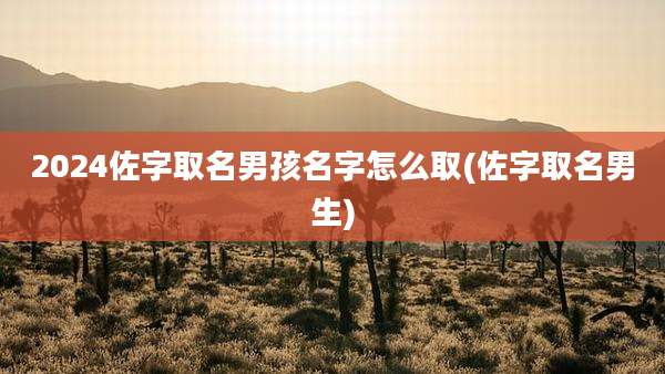 2024佐字取名男孩名字怎么取(佐字取名男生)