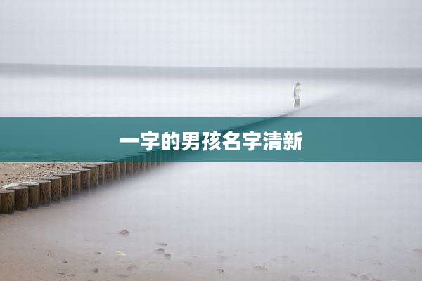 一字的男孩名字清新