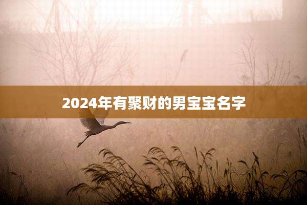 2024年有聚财的男宝宝名字
