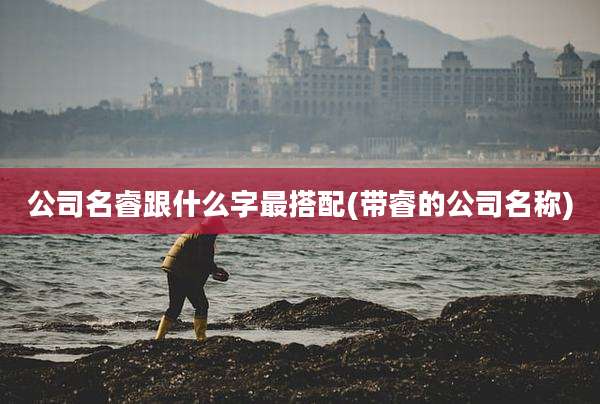 公司名睿跟什么字最搭配(带睿的公司名称)