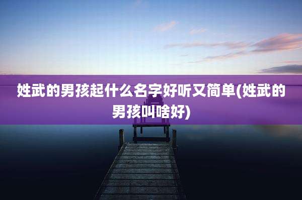 姓武的男孩起什么名字好听又简单(姓武的男孩叫啥好)