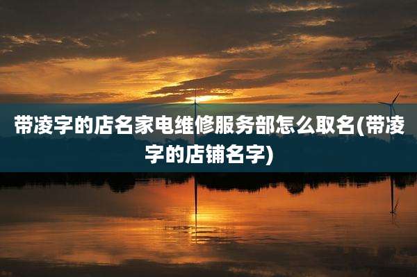 带凌字的店名家电维修服务部怎么取名(带凌字的店铺名字)