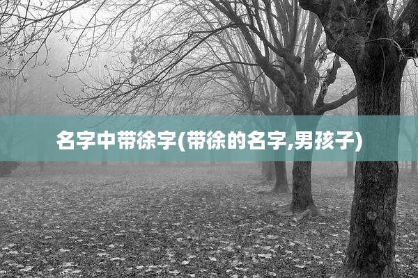 名字中带徐字(带徐的名字,男孩子)