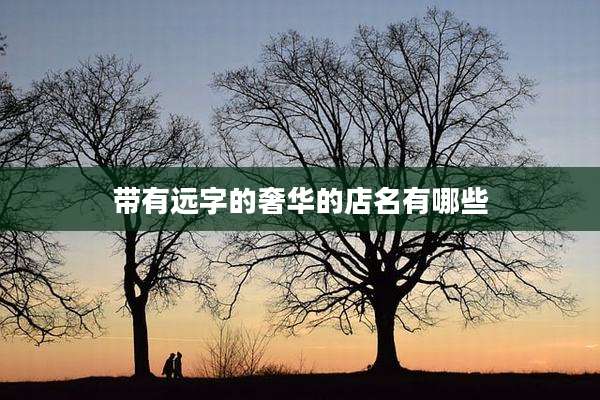 带有远字的奢华的店名有哪些