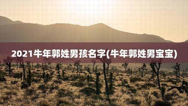 2021牛年郭姓男孩名字(牛年郭姓男宝宝)