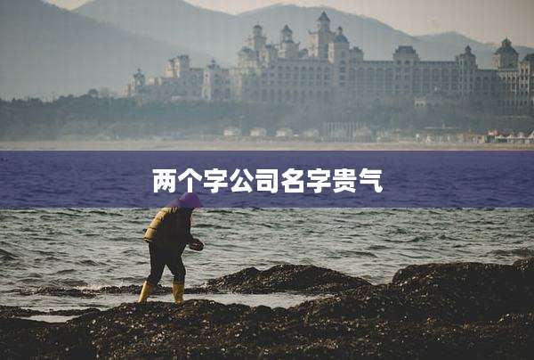 两个字公司名字贵气