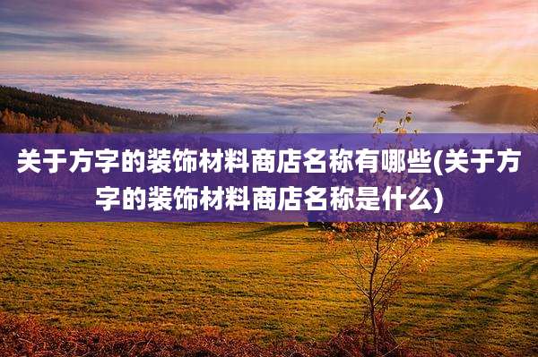 关于方字的装饰材料商店名称有哪些(关于方字的装饰材料商店名称是什么)