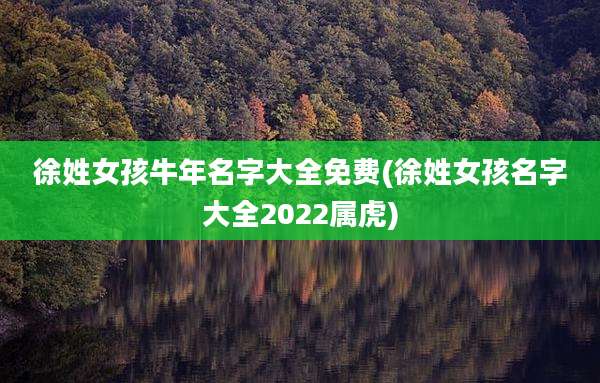 徐姓女孩牛年名字大全免费(徐姓女孩名字大全2022属虎)