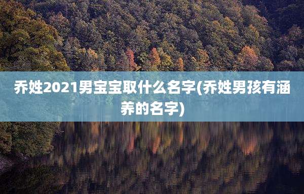 乔姓2021男宝宝取什么名字(乔姓男孩有涵养的名字)