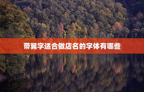 带翼字适合做店名的字体有哪些