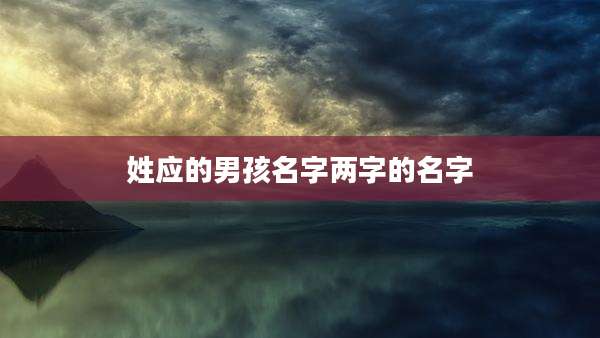 姓应的男孩名字两字的名字