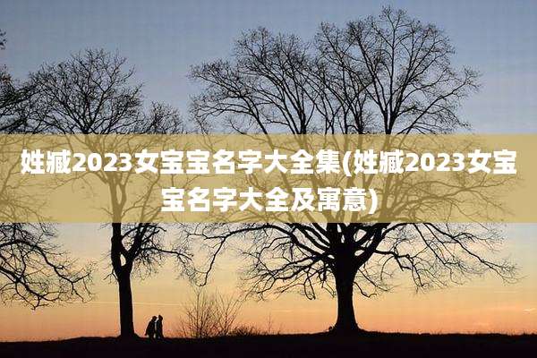 姓臧2023女宝宝名字大全集(姓臧2023女宝宝名字大全及寓意)
