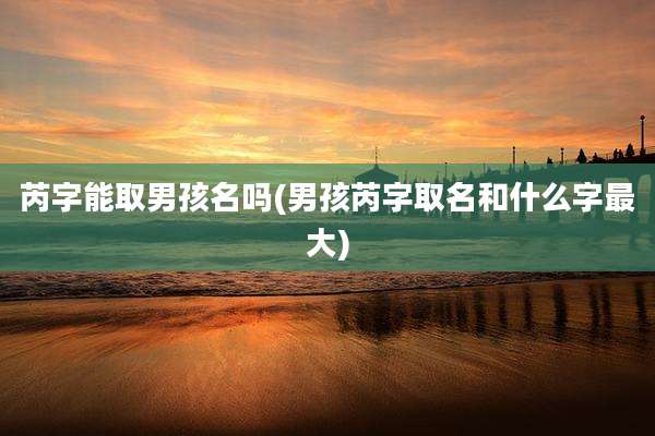 芮字能取男孩名吗(男孩芮字取名和什么字最大)