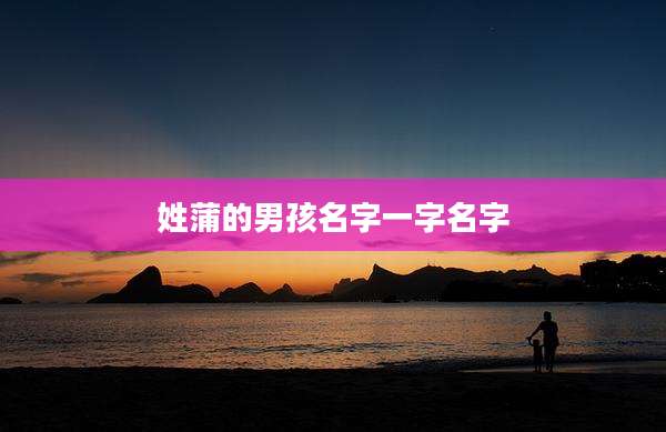姓蒲的男孩名字一字名字