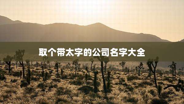 取个带太字的公司名字大全