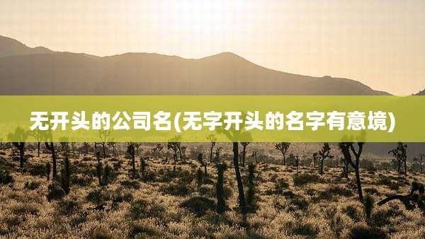 无开头的公司名(无字开头的名字有意境)