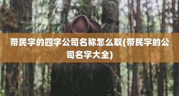 带民字的四字公司名称怎么取(带民字的公司名字大全)