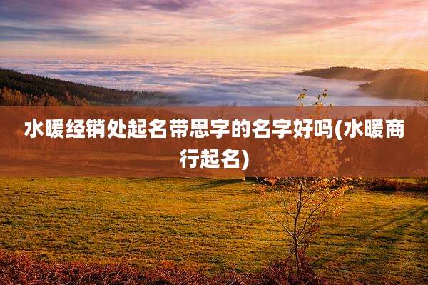 水暖经销处起名带思字的名字好吗(水暖商行起名)