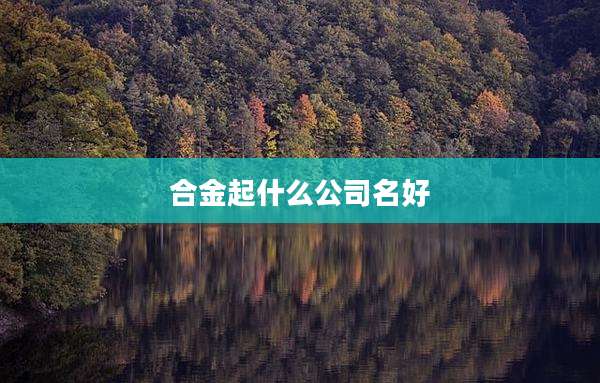 合金起什么公司名好