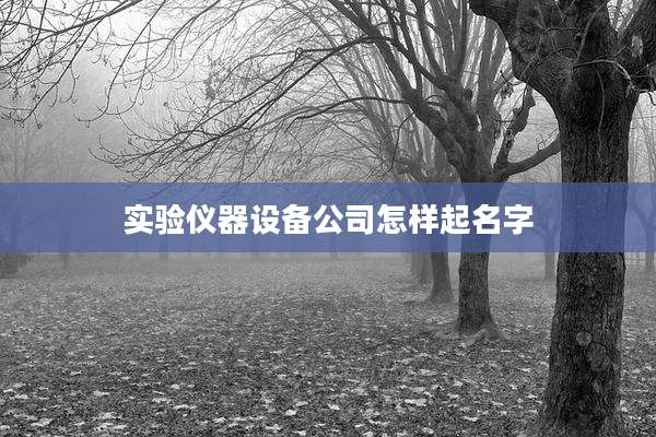 实验仪器设备公司怎样起名字