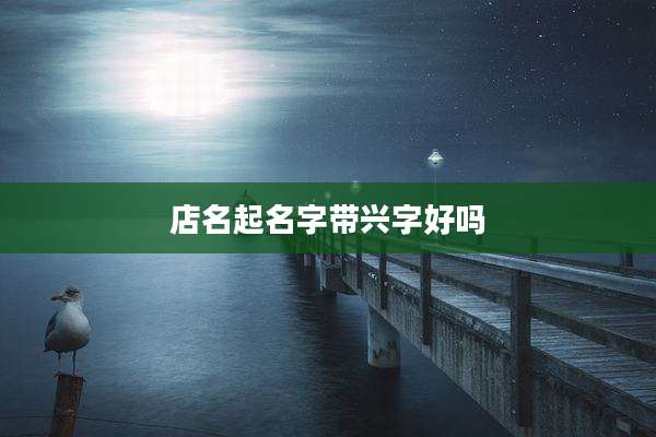 店名起名字带兴字好吗