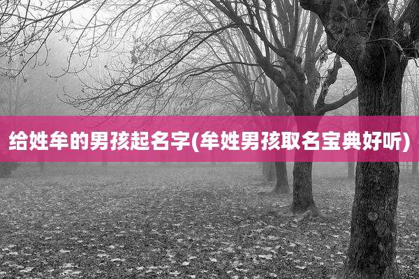 给姓牟的男孩起名字(牟姓男孩取名宝典好听)