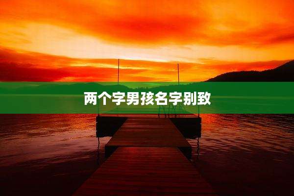 两个字男孩名字别致