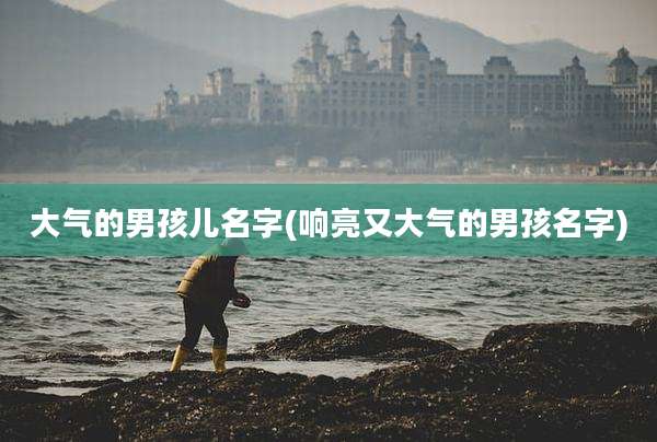 大气的男孩儿名字(响亮又大气的男孩名字)