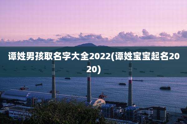 谭姓男孩取名字大全2022(谭姓宝宝起名2020)
