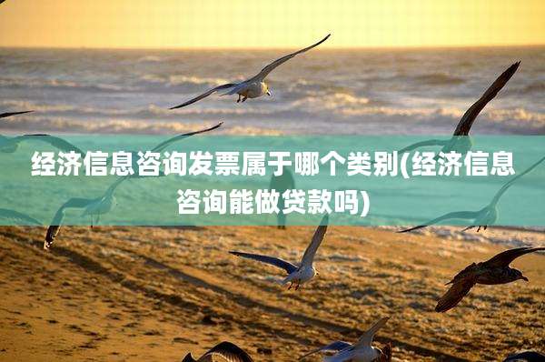 经济信息咨询发票属于哪个类别(经济信息咨询能做贷款吗)