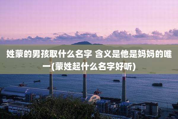 姓蒙的男孩取什么名字 含义是他是妈妈的唯一(蒙姓起什么名字好听)