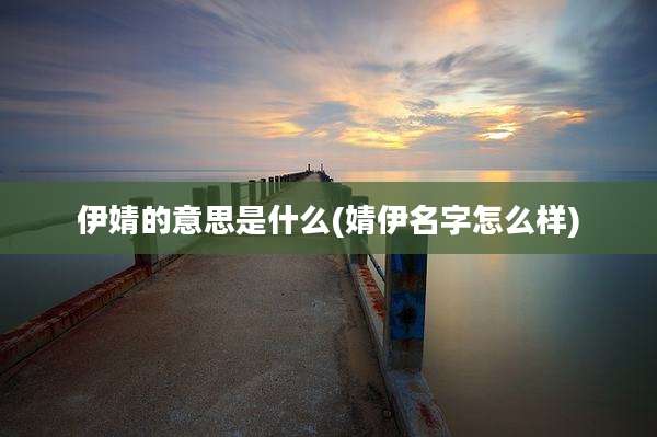 伊婧的意思是什么(婧伊名字怎么样)