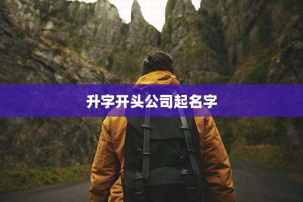 升字开头公司起名字
