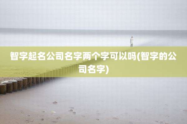 智字起名公司名字两个字可以吗(智字的公司名字)