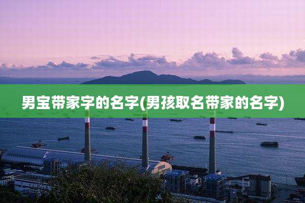 男宝带家字的名字(男孩取名带家的名字)