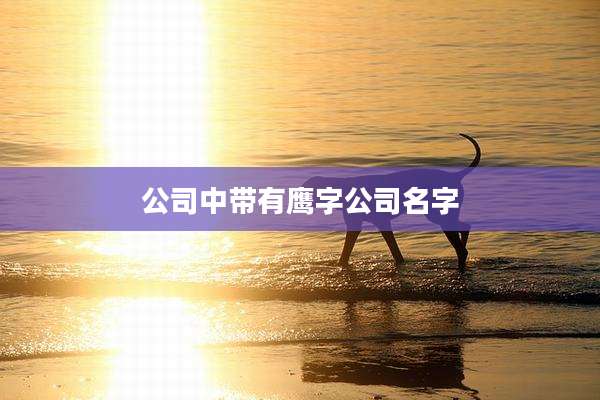 公司中带有鹰字公司名字