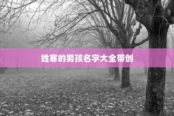 姓寒的男孩名字大全带创