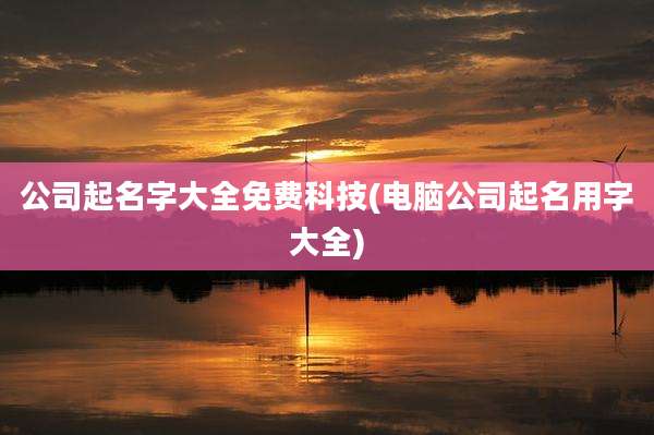 公司起名字大全免费科技(电脑公司起名用字大全)