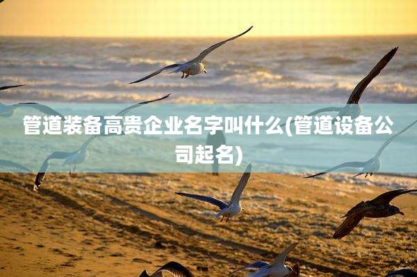 管道装备高贵企业名字叫什么(管道设备公司起名)