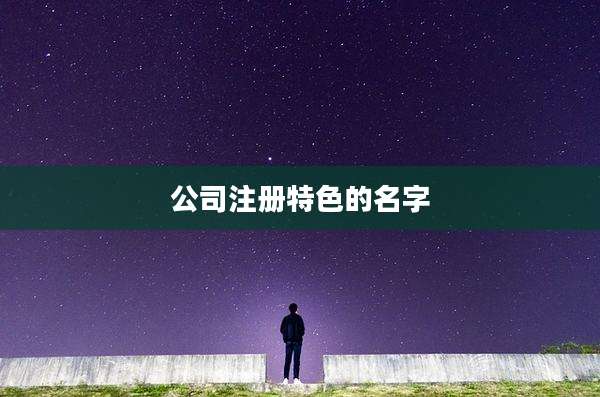 公司注册特色的名字