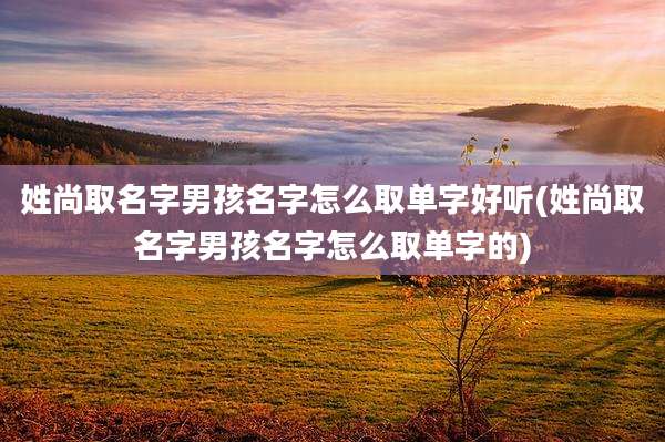 姓尚取名字男孩名字怎么取单字好听(姓尚取名字男孩名字怎么取单字的)