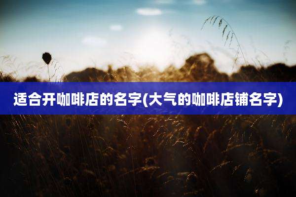 适合开咖啡店的名字(大气的咖啡店铺名字)